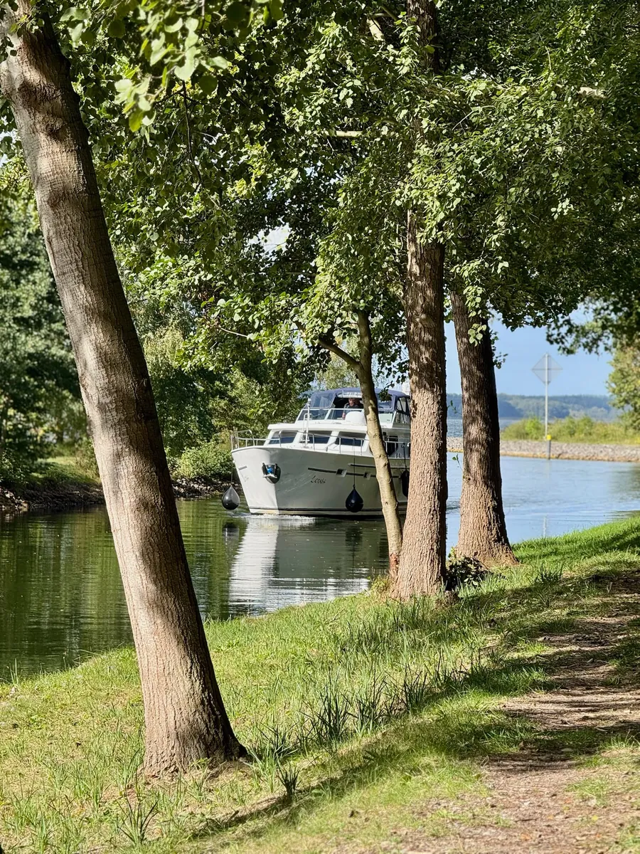 Alte Bäume am Ufer, ein Boot liegt im Schatten