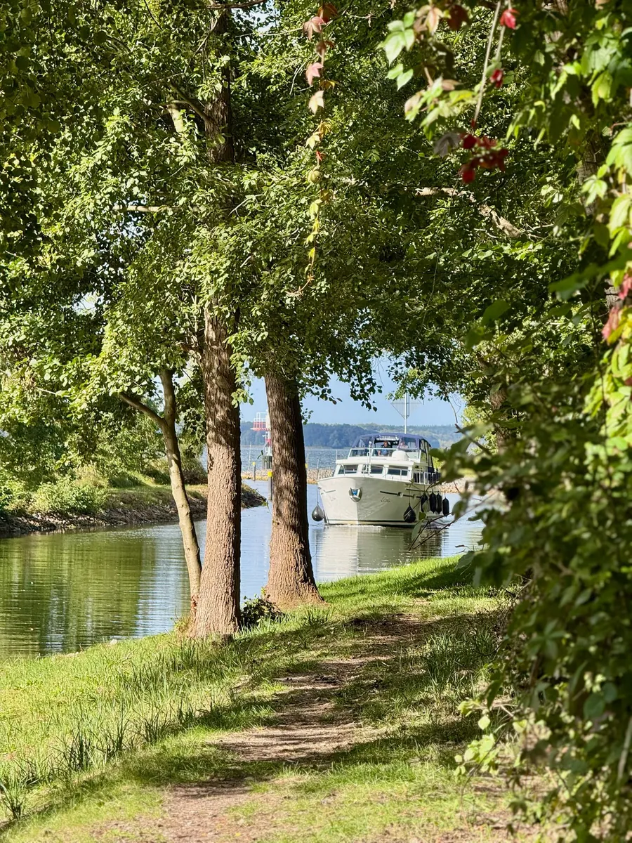 Uferweg unter Laubbäumen